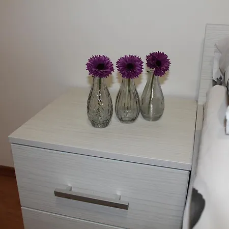 Pannonia Apartman *